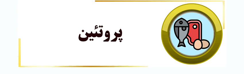 پروتئین . پروتین . رژیم پروتئینی