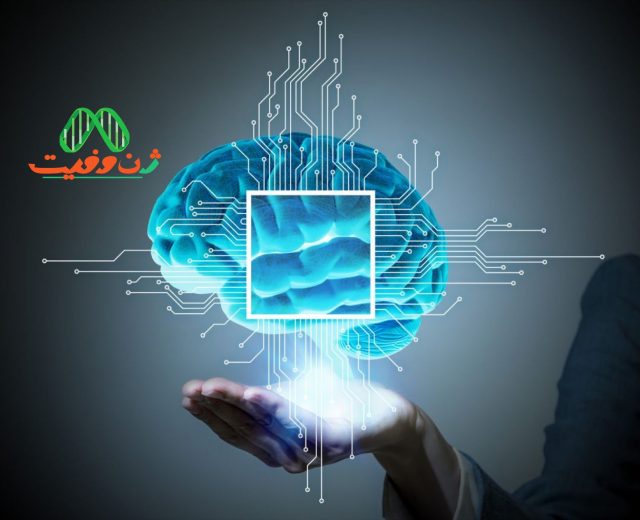 هوش . باهوش . ای کیو . هوش بالا . ای کیو بالا . بالا بردن هوش