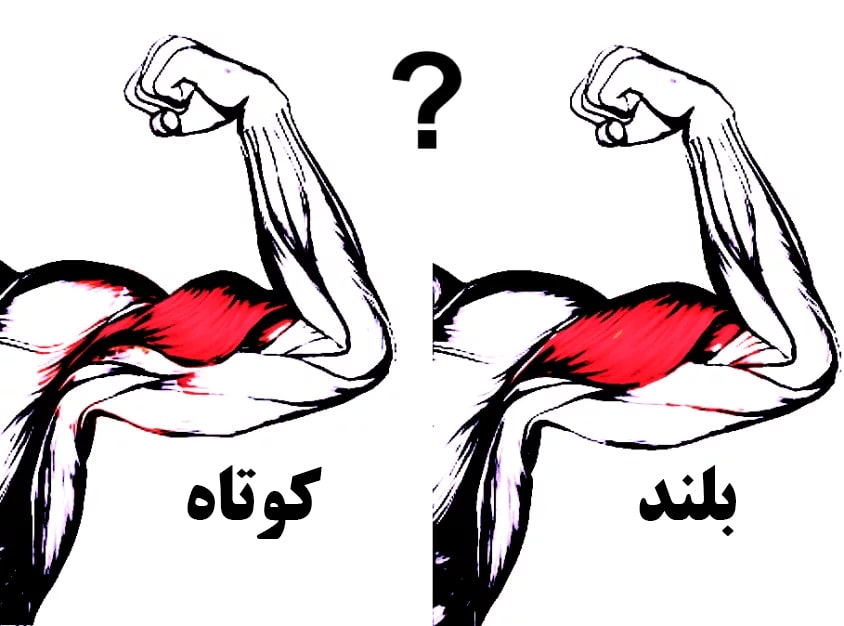 ژنتیک بدنسازی