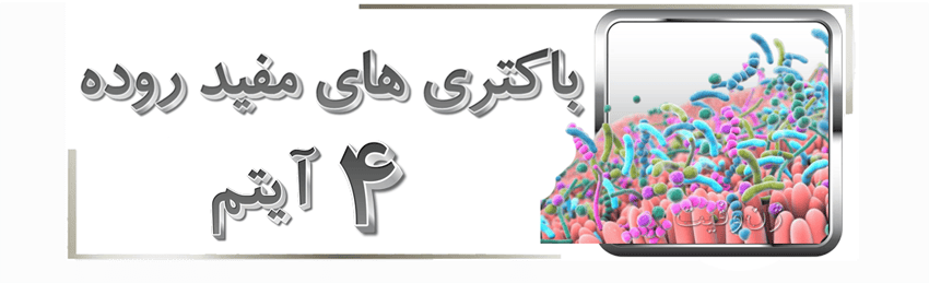 باکتری های روده