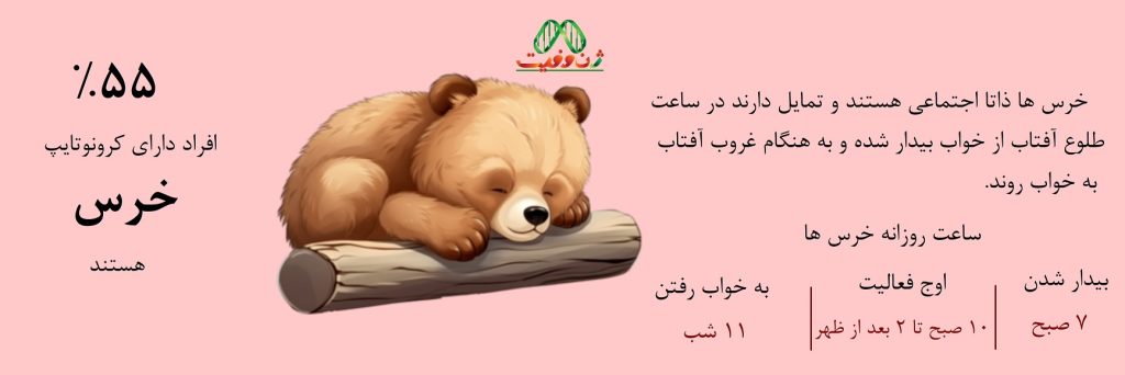 اکثریت افراد ساعت خواب مانند خرس ها دارند