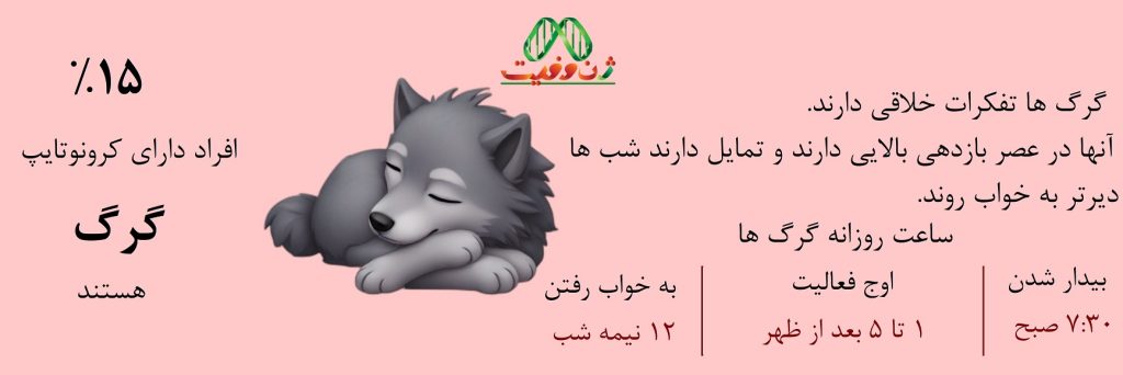 افراد شب زنده دار الگوی خواب مانند گرگ دارند