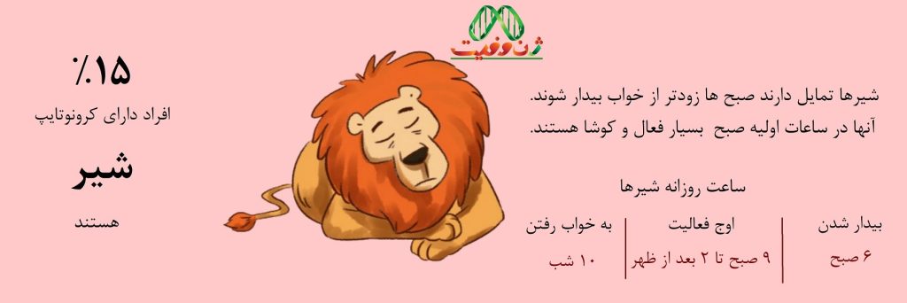 الگوی خواب افراد سحرخیز مانند شیر است