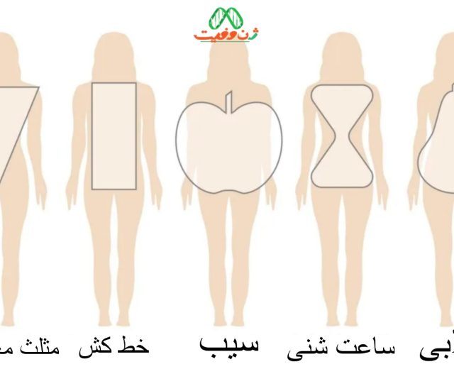 شناخت انواع تایپ های بدنی