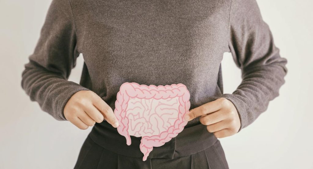 چگونه باکتری های مفید روده را افزایش دهیم. افزایش سلامت روده