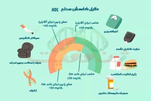 راه های افزایش کلسترول خوب یا اچ دی ال